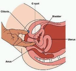 Irmãs se chupando porno doido Porn lesbicas tesoura
